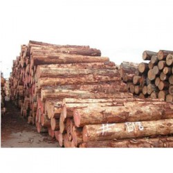 桂林辉煌木业有限公司
