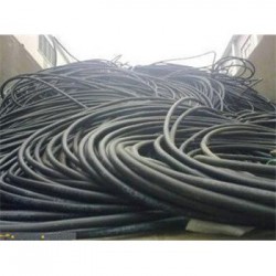 柯城铜电缆、铝电缆回收多少钱一吨？常年收